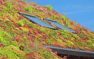 Walgherton living roof systems