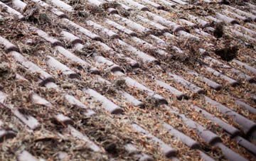 Walgherton roof cleaning companies