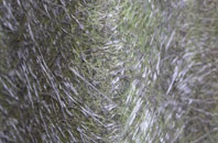 Walgherton fibreglass roof work